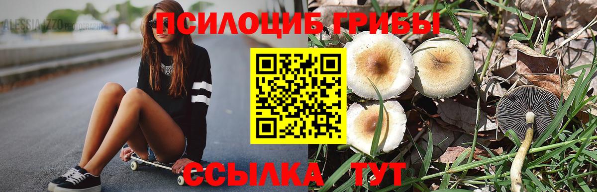 Псилоцибиновые грибы ЛСД Реж